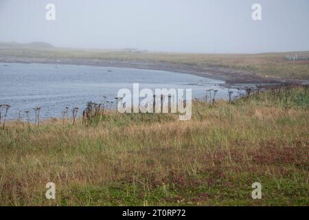 Plage à l’Anse aux Meadows, Terre-Neuve-et-Labrador, Canada Banque D'Images