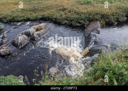 Ruisseau à l’Anse aux Meadows, Terre-Neuve-et-Labrador, Canada Banque D'Images