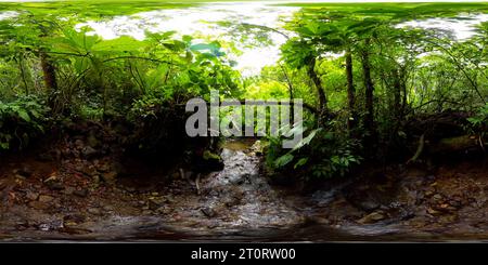 Ruisseau dans la forêt tropicale. Negros, Philippines. 360 panorama. Banque D'Images