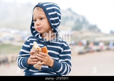 Charmant petit garçon tient un hot-dog savoureux marchant dans le parc de montagne. Enfant mangeant une collation saine sur le portrait de voyage. Enfant calme avec sandwich à l'extérieur Banque D'Images