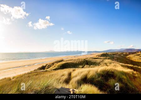 Plage de Harlech et dunes de sable en fin d'après-midi, Gwynedd, pays de Galles, Royaume-Uni Banque D'Images