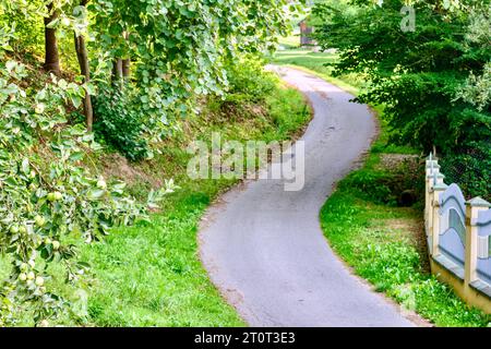 Route rurale sinueuse dans le jardin avec des pommiers et de l'herbe verte Banque D'Images