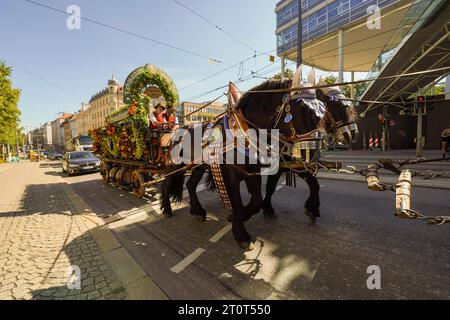 Munich, Allemagne, UE - 16 septembre 2023. Oktoberfest Augustiner Beer Brewery Parade Float avec calèche tirée par des chevaux, charrette avec barils de bière dans la rue Banque D'Images