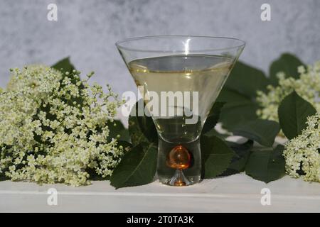 verre original avec liqueur de fleur de sureau avec décoration de fleurs âgées sur fond en bois Banque D'Images