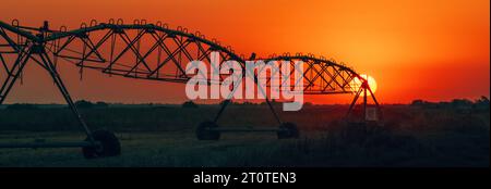 Coucher de soleil d'été sur le champ agricole avec système d'irrigation de mouvement latéral de silhouette, foyer sélectif Banque D'Images