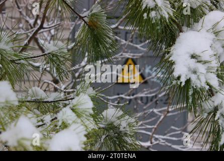 Un panneau triangulaire de puissance élevée est visible à travers le chapeau de neige sur les branches de pin Banque D'Images