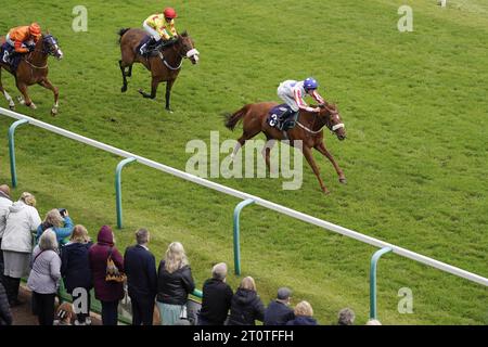 Photo de dossier datée du 22-06-2021 de Porterinthejungle, qui pourrait bien courir à la cote gratifiante dans le 5,22 à Windsor - 1pt à chaque sens. Date de parution : lundi 9 octobre 2023. Banque D'Images