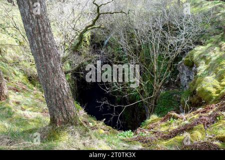 Pot d'alun (nid de poule) près de Selside à Ribblesdale, parc national des Yorkshire Dales, Angleterre, Royaume-Uni Banque D'Images