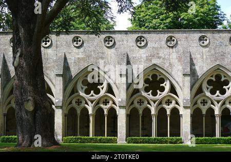 Détails Arches dans le jardin du cloître dans l'église de la cathédrale anglicane de la Bienheureuse Vierge Marie à Salisbury, Wiltshire, Angleterre, Royaume-Uni. Banque D'Images