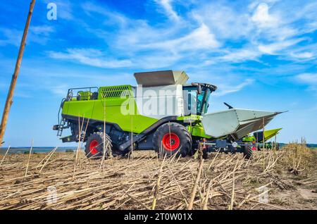 La récolteuse agricole recueille la récolte dans le champ. Champ d'automne avec récolteuse sur fond de ciel Banque D'Images