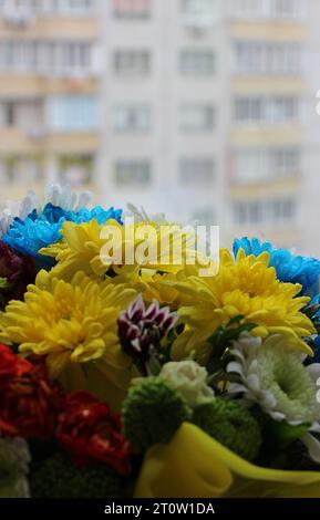 Fleurs colorées Bunch sur Un rebord de fenêtre de la maison avec le bâtiment de la ville défocalisé en face photo stock pour l'histoire verticale Banque D'Images