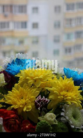 Photo verticale de la tête de fleurs en fleurs devant la vitre de fenêtre contre Multi Storey Apartments avec fond Soft Focus Banque D'Images