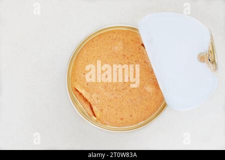 Pate pour chats et chiens dans un récipient en métal. Aliment pour animaux. Nutrition conservée. Placer pour le texte. Vue de dessus. Banque D'Images