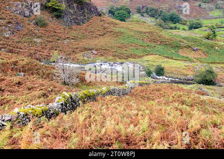 Grasmere Easedale vallée beck avec ruisseau d'eau coulant à travers la vallée, parc national Lake District, Cumbria, Angleterre, Royaume-Uni, 2023 Banque D'Images