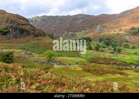 Grasmere Easedale vallée beck avec ruisseau d'eau coulant à travers la vallée, parc national Lake District, Cumbria, Angleterre, Royaume-Uni, 2023 Banque D'Images