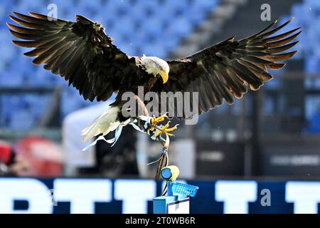 Rome, Italie. 08 octobre 2023. Mascotte du Latium l'aigle Olimpia survole le stade le match de football Serie A entre SS Lazio et Atalanta BC au stade Olimpico à Rome (Italie), le 8 octobre 2023. Crédit : Insidefoto di andrea staccioli/Alamy Live News Banque D'Images