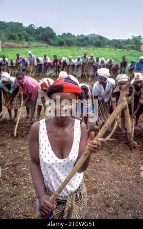 Liberia, près de Monrovia une femme avec une houe en bois fabriquée à partir d'une branche d'arbre Banque D'Images