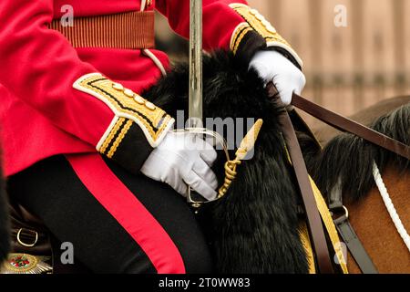 Détail d'une garde irlandaise passant devant le palais photographié lors des funérailles d'État de la reine Elizabeth II au palais de Buckingham à Londres, Royaume-Uni, le 19 septembre 2022. Les funérailles d'État d'Elizabeth sont les premières organisées en Grande-Bretagne depuis celles de Winston Churchill en 1965. Un service funéraire a eu lieu à l'abbaye de Westminster, suivi d'une procession à Wellington Arch qui a rassemblé environ 3 000 militaires et a été observé par environ un million de personnes dans le centre de Londres. Photo de Julie Edwards. Banque D'Images