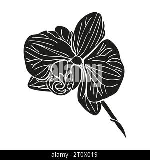 Tête de silhouette de fleur tropicale d'orchidée. Illustration dessinée à la main de vecteur pour la conception de carte ou d'invitation, logo. Illustration de Vecteur