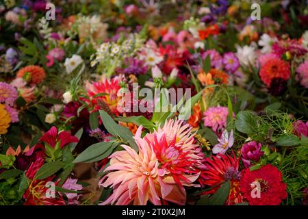 De nombreux pots de fleurs colorées prêts pour une réception de mariage. Banque D'Images