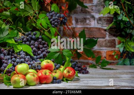Nature morte d'automne avec raisins de Bourgogne bleu et pommes devant le mur de briques avec des feuilles Banque D'Images