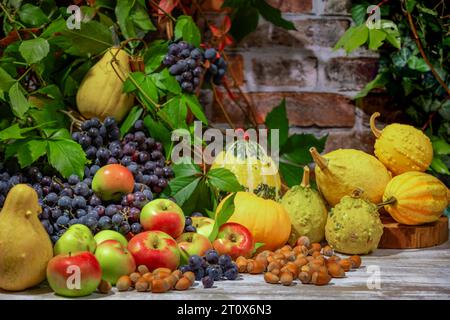 Nature morte d'automne avec raisins de Bourgogne bleu, pommes, citrouilles et noisettes devant un mur de briques avec des feuilles Banque D'Images