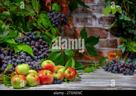 Nature morte d'automne avec raisins de Bourgogne bleu et pommes devant le mur de briques avec des feuilles Banque D'Images