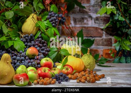 Nature morte d'automne avec raisins de Bourgogne bleu, pommes, citrouilles et noisettes devant un mur de briques avec des feuilles Banque D'Images