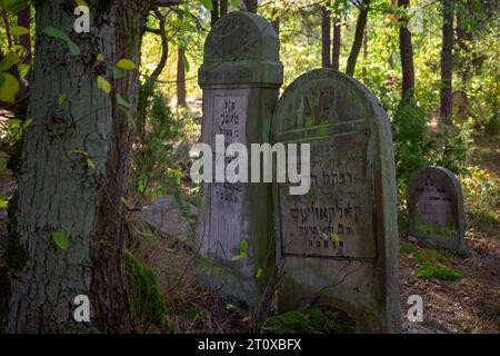 Karczew, Mazovien, Pologne. 8 octobre 2023. Le cimetière dans la forêt, l'un des rares qui peut être facilement atteint en vélo ou à pied, n'est pas clôturé - il y a des pierres jetées sur le bord du cimetière. Au total, il y a environ 120 pierres tombales (matzevot). L'état de certains d'entre eux est bon, étant donné qu'ils ont été détruits par la Wehrmacht et pillés par la République populaire de Pologne. Le cimetière existe depuis la fin du 19e siècle. Les habitants d'Otwock et des environs y ont été enterrés (image de crédit : © Hubert Mathis/ZUMA Press Wire) POUR USAGE ÉDITORIAL SEULEMENT Banque D'Images