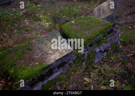 Karczew, Mazovien, Pologne. 8 octobre 2023. Le cimetière dans la forêt, l'un des rares qui peut être facilement atteint en vélo ou à pied, n'est pas clôturé - il y a des pierres jetées sur le bord du cimetière. Au total, il y a environ 120 pierres tombales (matzevot). L'état de certains d'entre eux est bon, étant donné qu'ils ont été détruits par la Wehrmacht et pillés par la République populaire de Pologne. Le cimetière existe depuis la fin du 19e siècle. Les habitants d'Otwock et des environs y ont été enterrés (image de crédit : © Hubert Mathis/ZUMA Press Wire) POUR USAGE ÉDITORIAL SEULEMENT Banque D'Images