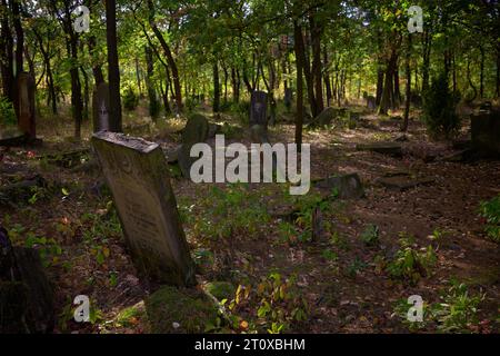 Karczew, Mazovien, Pologne. 8 octobre 2023. Le cimetière dans la forêt, l'un des rares qui peut être facilement atteint en vélo ou à pied, n'est pas clôturé - il y a des pierres jetées sur le bord du cimetière. Au total, il y a environ 120 pierres tombales (matzevot). L'état de certains d'entre eux est bon, étant donné qu'ils ont été détruits par la Wehrmacht et pillés par la République populaire de Pologne. Le cimetière existe depuis la fin du 19e siècle. Les habitants d'Otwock et des environs y ont été enterrés (image de crédit : © Hubert Mathis/ZUMA Press Wire) POUR USAGE ÉDITORIAL SEULEMENT Banque D'Images