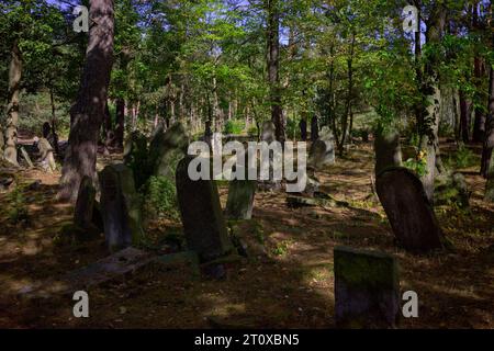 Karczew, Mazovien, Pologne. 8 octobre 2023. Le cimetière dans la forêt, l'un des rares qui peut être facilement atteint en vélo ou à pied, n'est pas clôturé - il y a des pierres jetées sur le bord du cimetière. Au total, il y a environ 120 pierres tombales (matzevot). L'état de certains d'entre eux est bon, étant donné qu'ils ont été détruits par la Wehrmacht et pillés par la République populaire de Pologne. Le cimetière existe depuis la fin du 19e siècle. Les habitants d'Otwock et des environs y ont été enterrés (image de crédit : © Hubert Mathis/ZUMA Press Wire) POUR USAGE ÉDITORIAL SEULEMENT Banque D'Images