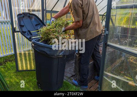 Homme se débarrassant des plantes collectées dans les ordures, préparant la serre pour la saison d'hiver. Banque D'Images