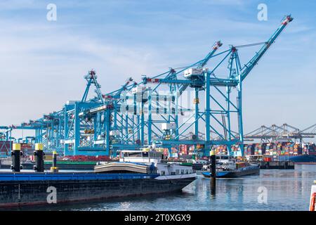 Rotterdam, pays-Bas-16 septembre 2023 ; bateaux de navigation intérieure devant les SQCs (Super Quay Cranes) du terminal APM avec grand porte-conteneurs Banque D'Images