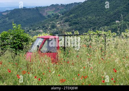 Bagnoregio, Italie-9 juin 2023- véhicule utilitaire léger italien typique rouge -le Piaggio APE- debout abandonné dans un champ à moitié couvert de culture élevée Banque D'Images