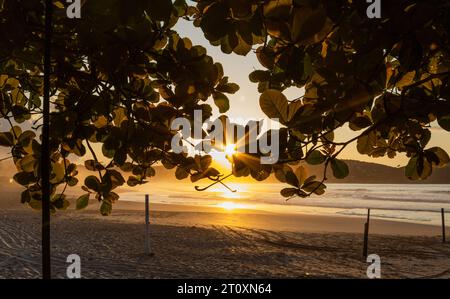 Soleil levant sur l'amandier près de la plage, vue majestueuse sur la plage de Geriba, Buzios, Brésil. Banque D'Images