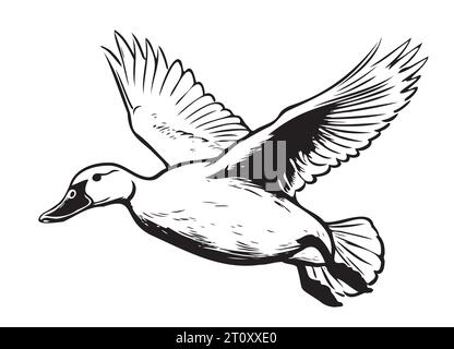 Croquis volant de canard dessiné à la main Vector Birds chasse Illustration de Vecteur