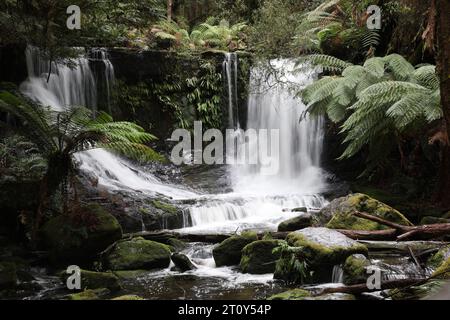 Belles cascades immaculées dans la forêt. La superbe courte promenade des chutes Horseshoe dans le parc national de Mt Field près de Hobart dans la vallée de Derwent. Banque D'Images