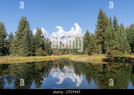 Schwabacher Landing avec les montagnes Teton qui se reflètent dans l'eau de la rivière Snake en automne, Banque D'Images