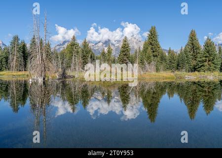 Schwabacher Landing avec les montagnes Teton qui se reflètent dans l'eau de la rivière Snake en automne, Banque D'Images