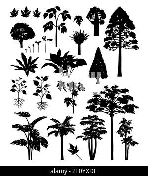 silhouettes d'éléments de palmier et de plantes Illustration de Vecteur