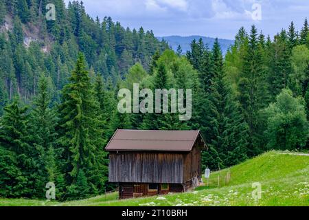 Cabane de montagne en bois entourée de champs verdoyants en pente et d'une forêt de grands arbres à Reith im Alpbachtal, vallée d'Alpbachtal, Tyrol, Autriche. Banque D'Images