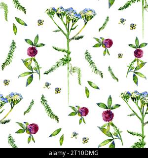 Wild flowers illustration. Watercolor seamless pattern Banque D'Images