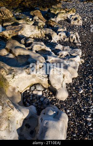 Roches altérées sur la plage de Penmon point, Anglesey, au nord du pays de Galles. Banque D'Images