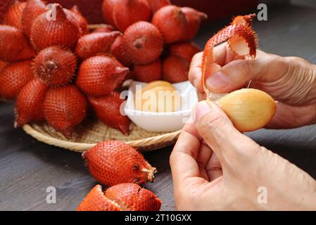 Peeling à la main du fruit de Salak (Salacca Zalacca) avec des grappes de fruits flous en toile de fond Banque D'Images