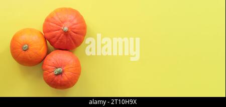 Citrouilles mûres sur un fond jaune, vue de dessus. Concept de récolte d'automne. Photos pour bannières saisonnières. Produits sur la table. Espace de copie Banque D'Images