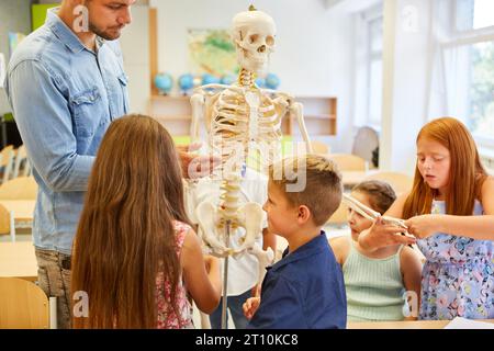 Enseignant masculin et étudiants debout autour du squelette humain dans la salle de classe Banque D'Images