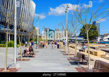 Promenade en bord de mer Wulugul Walk le long des rives de Darling Harbour à Barangaroo, Sydney, Nouvelle-Galles du Sud, Australie Banque D'Images