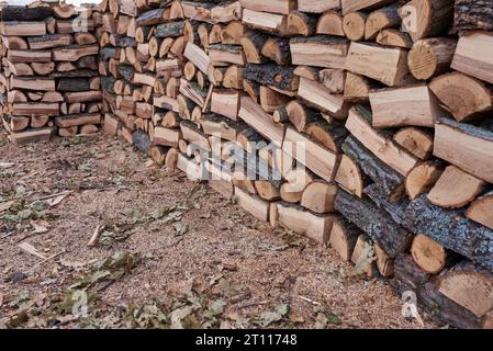 pile de bois de chauffage sec destinée au chauffage des maisons en hiver Banque D'Images