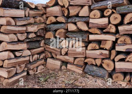 pile de bois de chauffage sec destinée au chauffage des maisons en hiver Banque D'Images